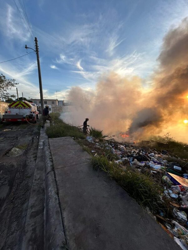 Instruye Alcalde Carlos Peña Ortiz a atender actos que dañen el medio ambiente