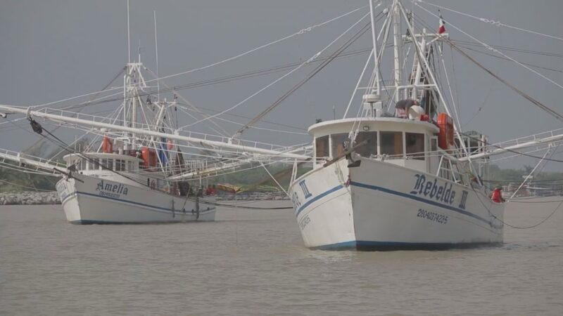 Flota camaronera tamaulipeca, la más grande del Golfo de México