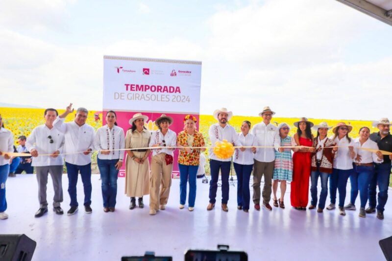 Respalda Gobierno de Tamaulipas promoción de campos de girasoles