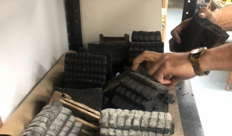 Impulsa Museo Tamux refugios para insectos y jardines polinizadores