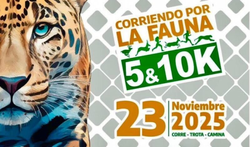 Corriendo por la Fauna”, una estampida de solidaridad en pro de las especies