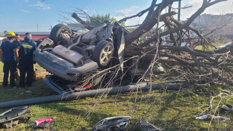 Fallece automovilista tras chocar contra un árbol en el bulevar Morelos