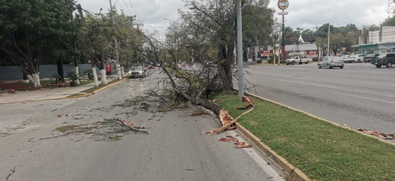 Frente frío 25 deja daños y apagones en Ciudad Victoria