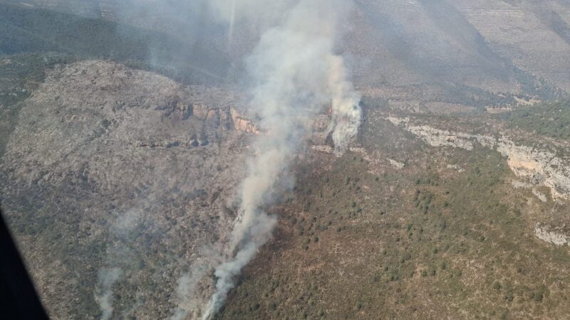 Combaten incendio forestal en Miquihuana