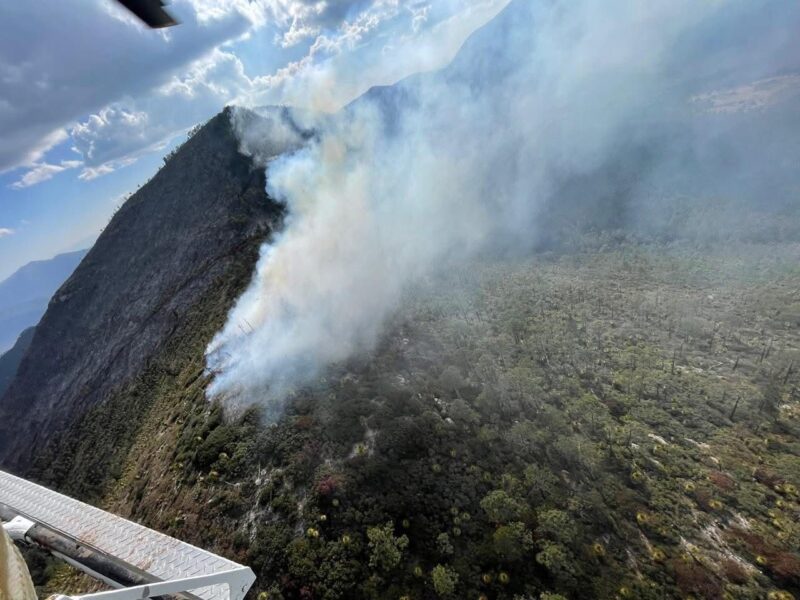 Reportan 70% de control en incendio forestal de Miquihuana