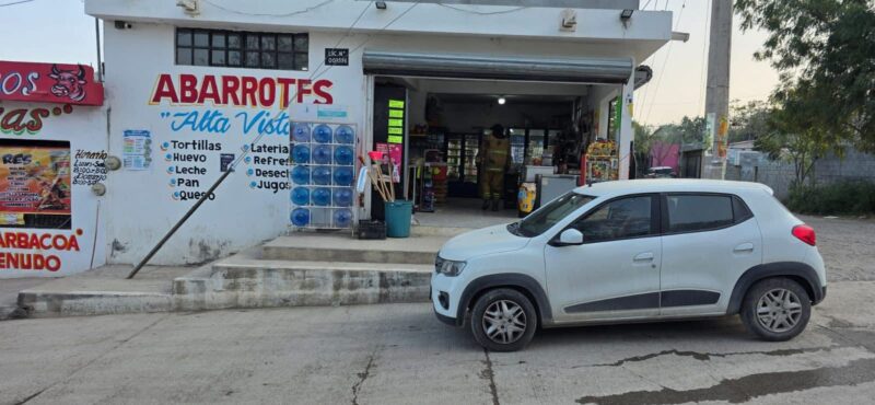 Enjambre de abejas deja varios lesionados en negocio de abarrotes