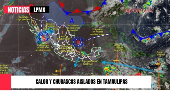 Foto para Pagina Web(1)