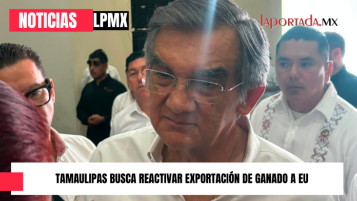 Foto para Pagina Web(2)