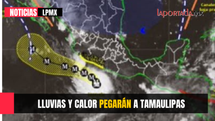 Foto para Pagina Web (26)