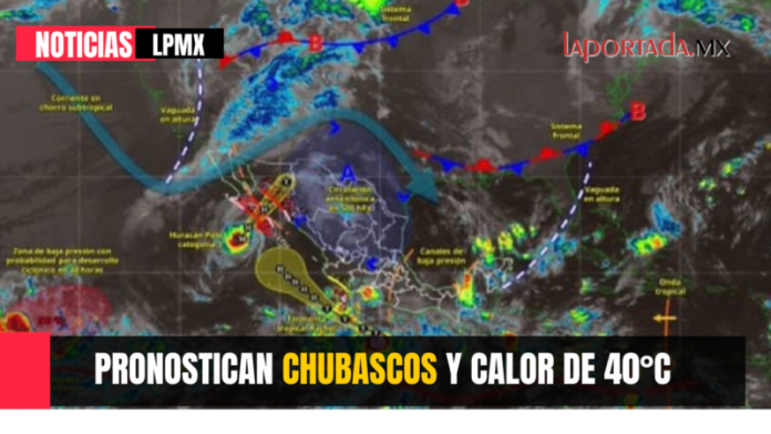Foto para Pagina Web (29)