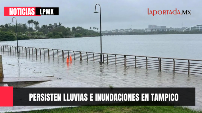 Foto para Pagina Web