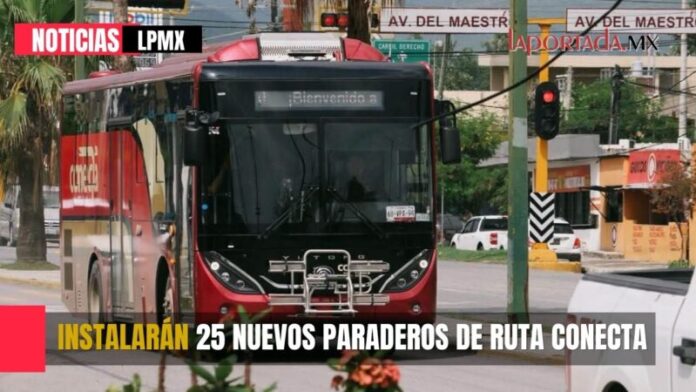 Foto para Pagina Web (4)