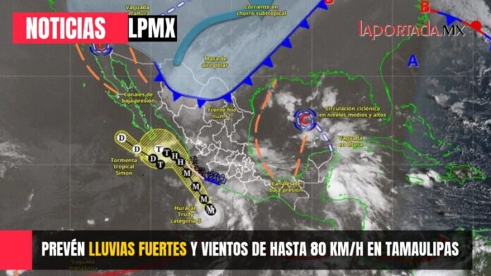 Foto para Pagina Web