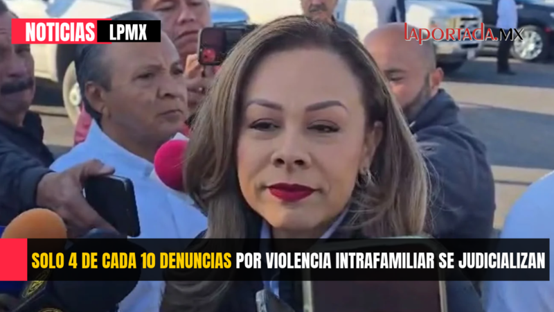 Solo 4 de cada 10 denuncias por violencia intrafamiliar se judicializan